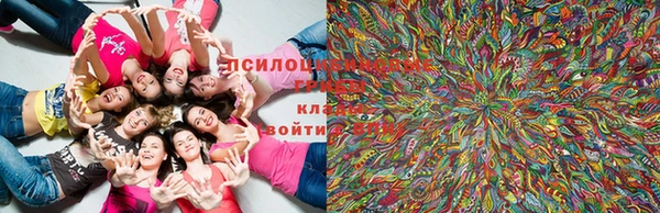 кокаин VHQ Белоозёрский