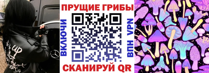 Псилоцибиновые грибы Psilocybe  ОМГ ОМГ ССЫЛКА  Очёр 
